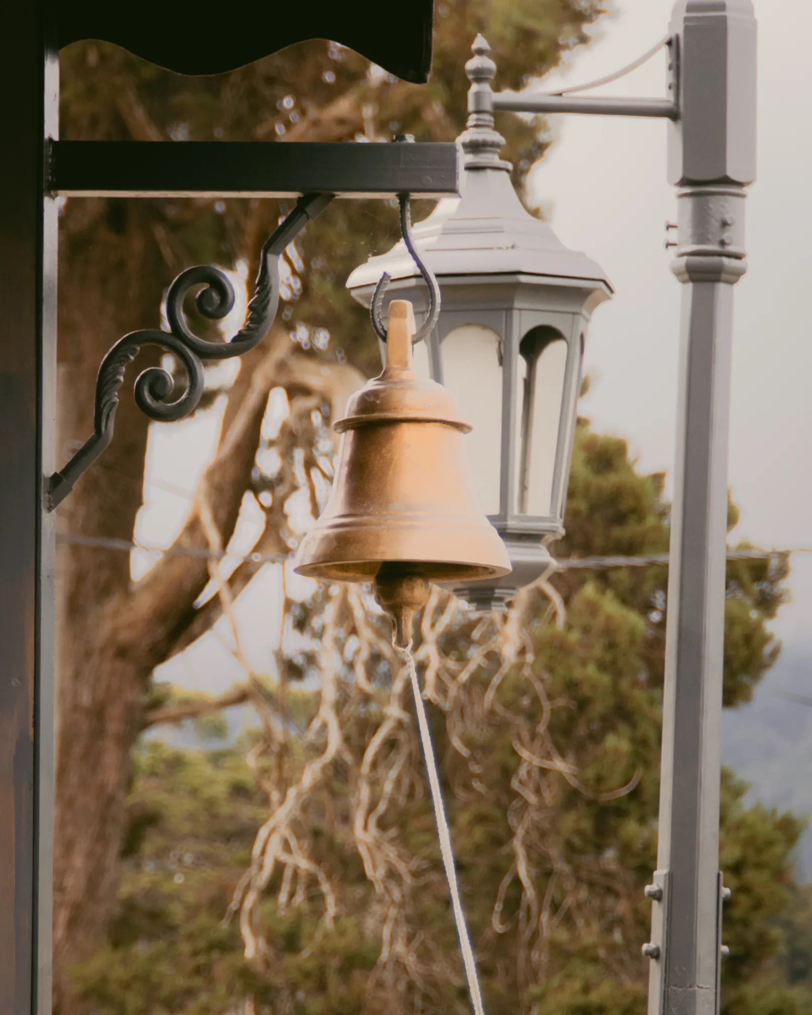 Rustic Details