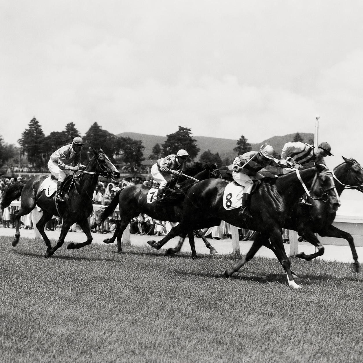 Race Course Ground